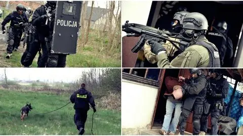 Porwali 25-latka, pobili i przywiązali do drzewa. Sprawcy już ujęci