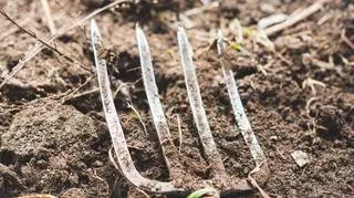 Grzegorz M. przyznał się do winy 