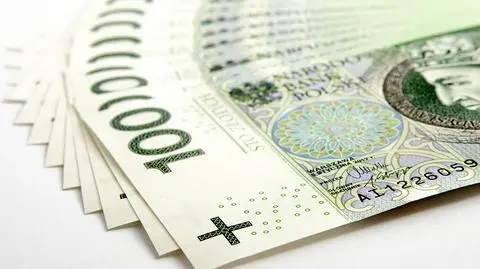Raport Rzecznika Finansowego