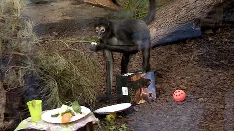 Był tort i prezenty 