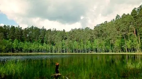 30 lat temu wyjechał do Niemiec. Teraz żąda 180 tys. zł odszkodowania za siedlisko na Mazurach
