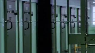 Grupa zajmowała się handlem narkotykami i wyłudzaniem pieniędzy