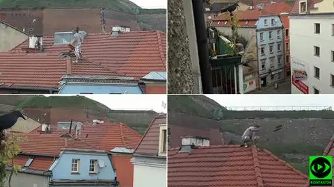 Do zdarzenia doszło w Kłodzku 