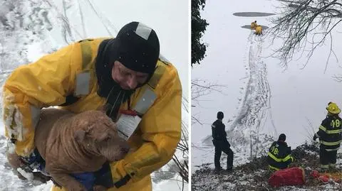 Shar pei uratowany z zamarzniętej rzeki