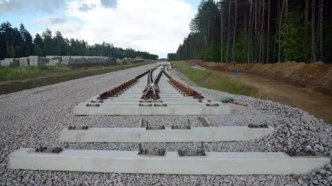 Przegrali przetarg, ale nie składają broni. 
Newag chce dostarczyć pociągi dla PKM