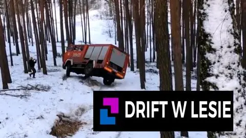 Drift w lesie