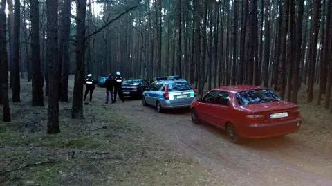 Grodzisk Wielkopolski: Rozbite auto w lesie, w środku zwłoki kobiety