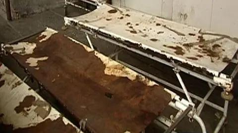 W prosektorium ciała leżały jedne na drugich, gołe, nieumyte