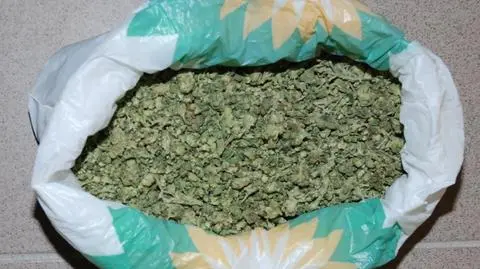 Od trawy w bagażniku do psychotropów