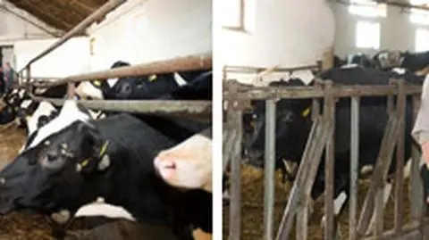 Prezes PiS nie spotka się z "Donaldem nic mnie nie obchodzi Tuskiem"