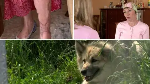 Psy prawie zagryzły kobietę. Wyrok w zawieszeniu