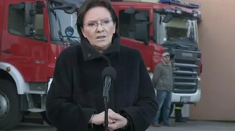 "Premier jak dobra mama", "gesty na pokaz", "nowa polityka miłości". Eksperci o apelu Kopacz