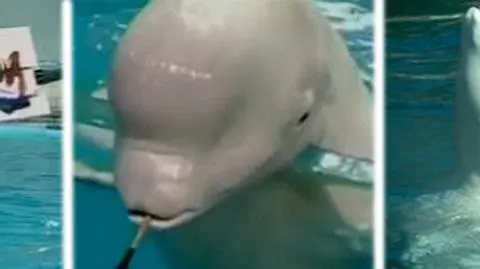 Dusza artysty w ciele walenia