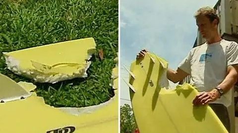 Rekin przegryzł deskę. Surfer lekko draśnięty