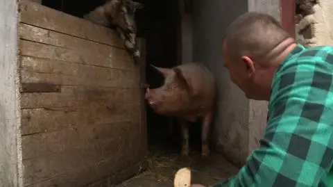 Kruszynka była dowodem w sprawie