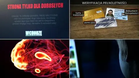Ochrona przed pornografią w internecie