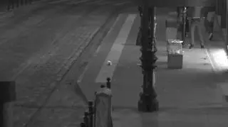 Wandale przechadzali się nad ranem centrum Poznania