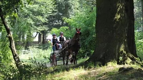 Konie w galopie. Najlepsi zawodnicy zjechali do Siedlca