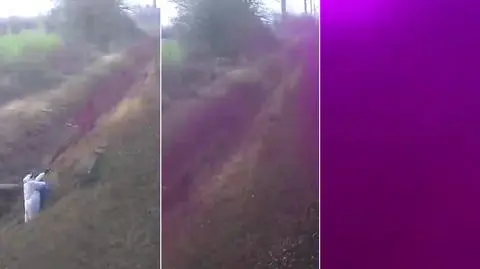 Wandal pomalował cały pociąg różową farbą