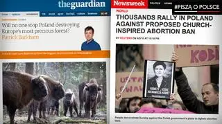 "Guardian" z troską pochyla się nad losem białowieskich żubrów, ale większość artykułów o Polsce dotyczy kwestii aborcji