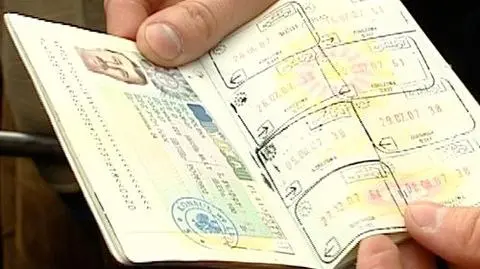 Czysta fikcja - firma, papiery, wizy