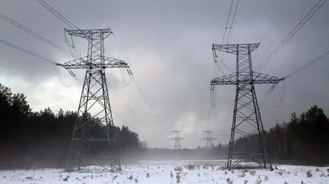 Poland has liberalized power prices for companies but still regulates them for households