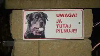 Właścicielka psów, które pogryzły 9-latkę usłyszała zarzut