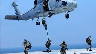 Komandosi Navy SEALS w akcji