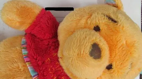 Dziecko przyniosło do żłobka misia z podsłuchem. "Matka chciała sprawdzić opiekunki"