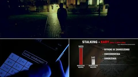 W ubiegłym roku za uporczywe nękanie skazano prawie 1200 osób