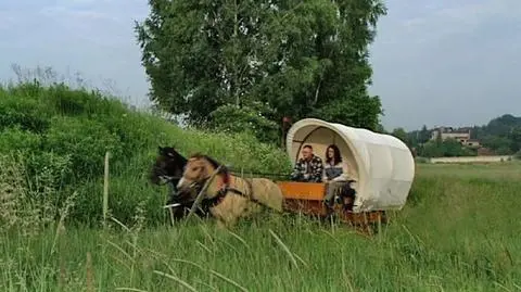 Po Kubie i Myszce zostały ślady kopyt 