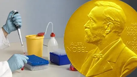 Tegoroczni nobliści w dziedzinie medycyny