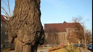 Ten skwer będzie nosić imię pułkownika Kuklińskiego