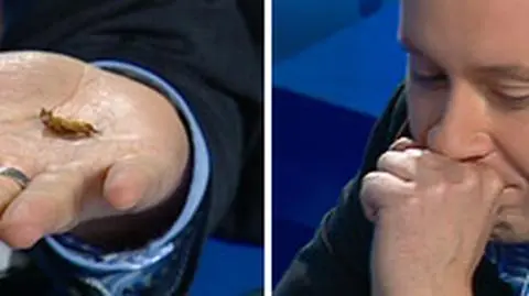 Karaluchy w zupie, świerszcze
 w maśle. Unia zachęca