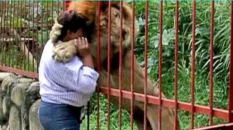 Egzotyczne schronisko niczym małe zoo