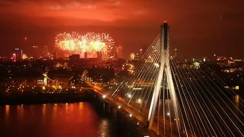 Although fireworks may bring spectacular visual effects, their sound is dreadful for the ears of animals