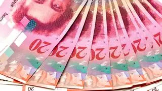 06.07 | Światełko w tunelu, jakim była dla posiadaczy kredytów we frankach końcówka ubiegłego tygodnia, gaśnie. W środę helwecka waluta znowu zdrożała o osiem groszy do 3,30 zł. Złoty zaczął słabnąć po obniżeniu przez agencję Moody's ratingu Portugalii. Spadki pogłębiły się po decyzji RPP o pozostawieniu stóp procentowych na niezmienionym poziomie. (TVN CNBC)