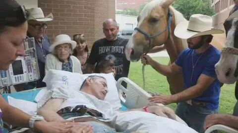 Ostatnie pożegnanie z końmi