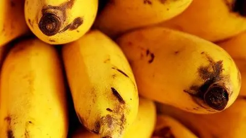 W Zgorzelcu znaleźli kokainę w bananach
