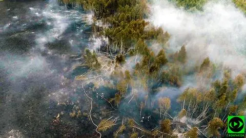 Pożar rezerwatu przyrody Torfowisko Karaska