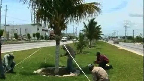 Stan najwyższej gotowości w Meksyku