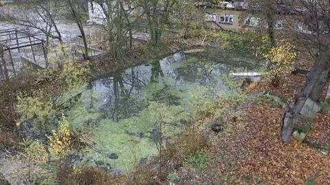 Szczecin. Nie żyją dwaj chłopcy, którzy wpadli do basenu przeciwpożarowego