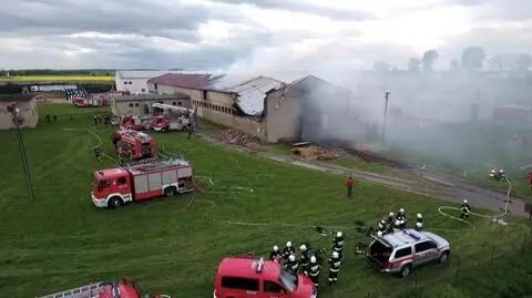 W owczarni znajdowało się około 400 zwierząt 