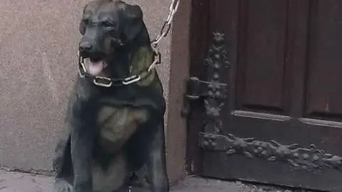 Wezwani do plastikowego psa