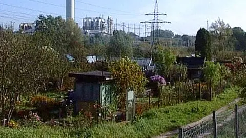 "Działkowiec musi być panem"