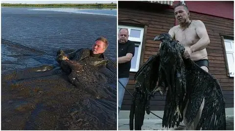 Bielik nie miałby szans 