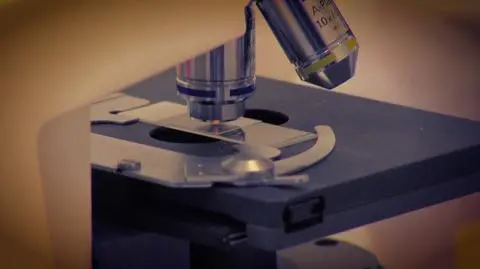 Aktor krytycznie odniósł się do stosowania metody in vitro