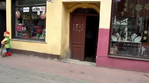 Żmija pojawiła się w centrum Kamiennej Góry