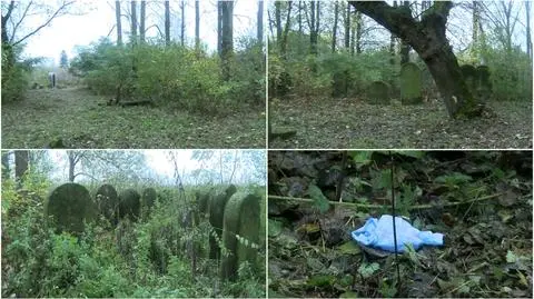 Przyznała się do zabicia dziecka. Sąd uchylił areszt dla Ewy T.