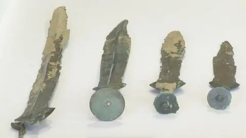 Grzybiarze znaleźli "skarb o niewyobrażalnej wartości"